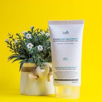 маска для пошкодженого волосся La'dor Eco Hydro LPP Treatment 150 мл 1584908644 фото
